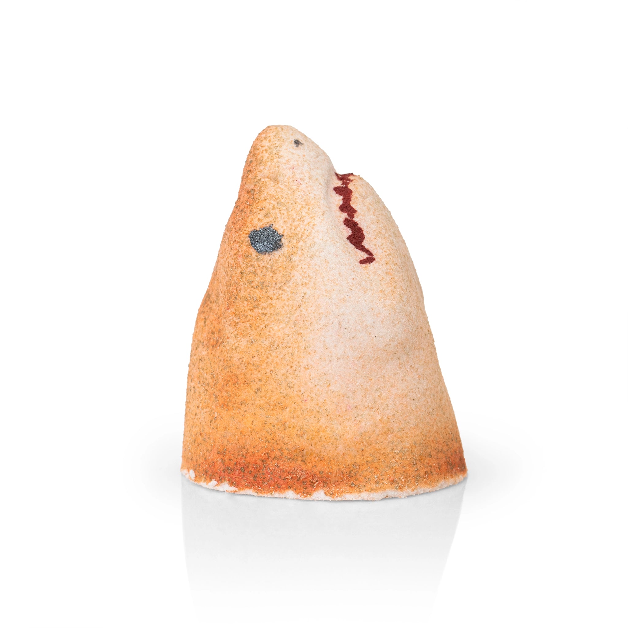 Shark Bites
